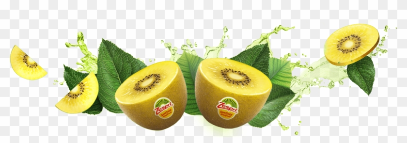 Feel Alive With Zespri Kiwifruit Clipart #230930