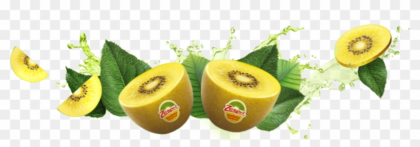 Feel Alive With Zespri Kiwifruit Clipart