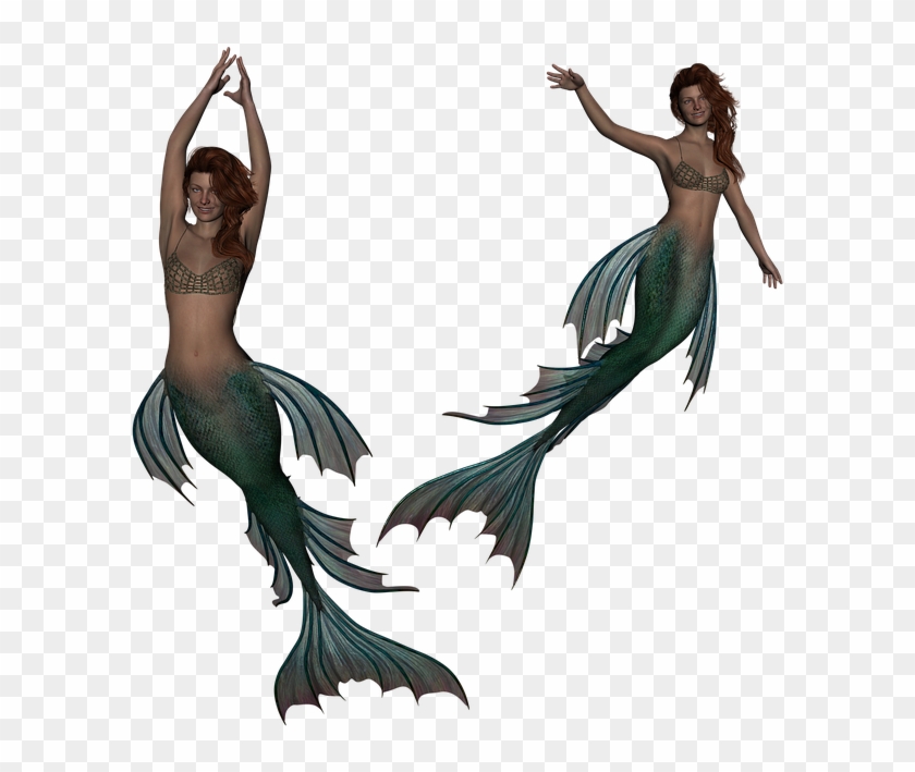 Mermaid, Siren, Fantasy, Fairytale, 3d, Tail, Fish - Siren Mermaid Png Clipart