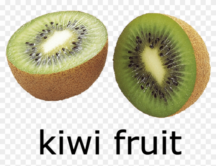Free Png Kiwi Fruit Png - Kiwi Fruit Picture With Name Clipart #231106