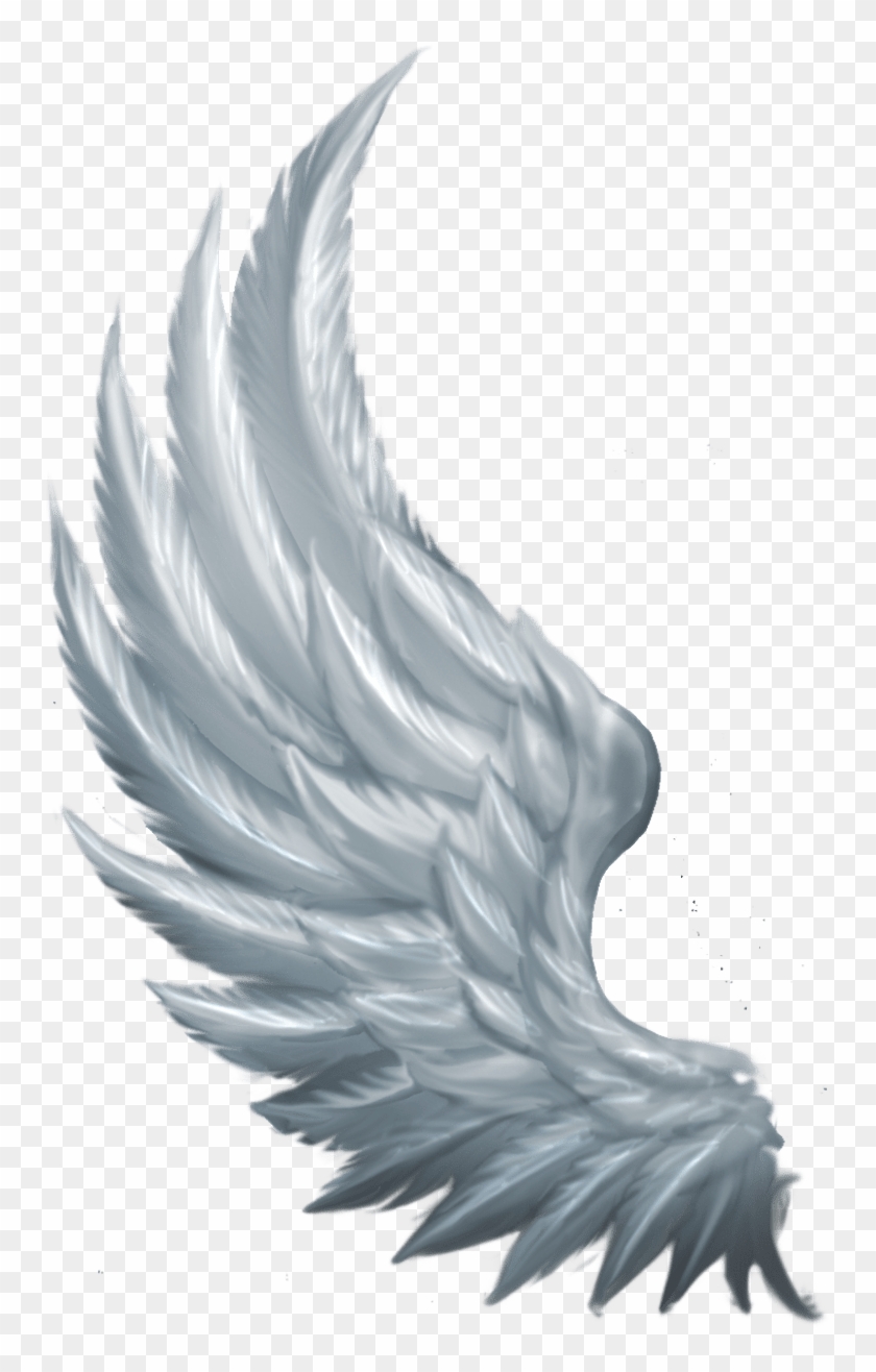 Fourteen Years Ago The World Ended - Angel Wings From The Side Clipart