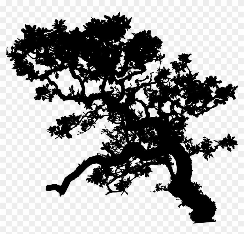 Leafy Tree Silhouette Library - Jungle Tree Silhouettes Png Clipart