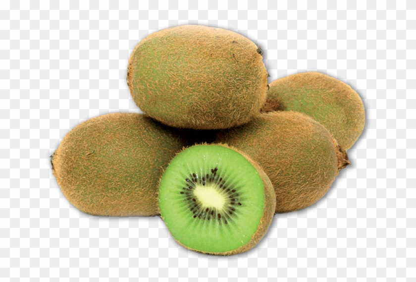 Kiwi - Kiwifruit Clipart #231585