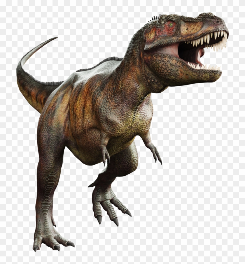 894 X 894 19 - Tirex Clipart