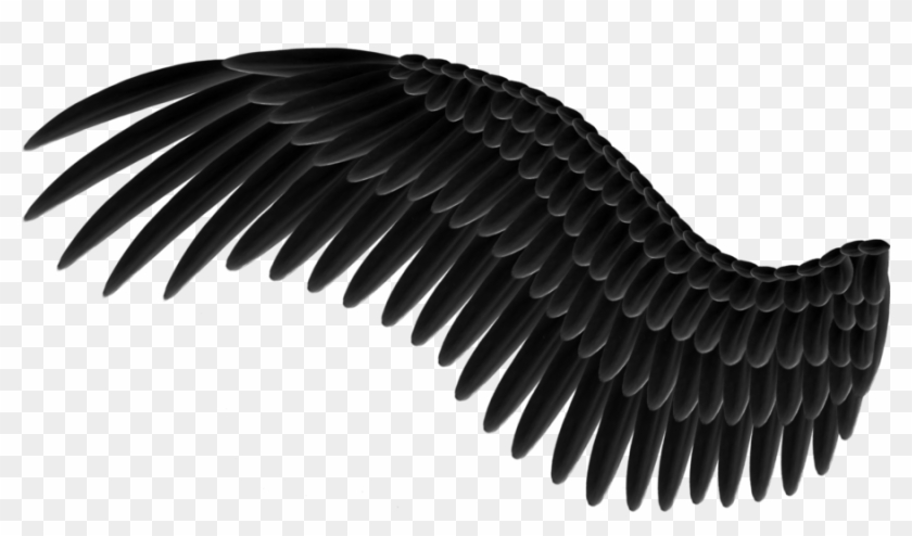 Dark Angel Clipart Transparent - Black Wing Png
