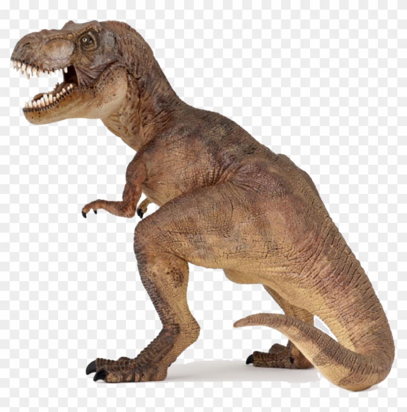 Download Dinosaur Png Images Transparent Gallery - Colour Is At Rex Clipart #232012
