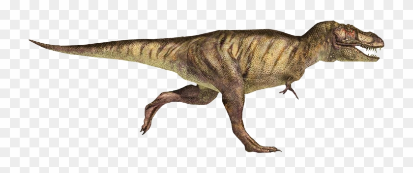 T-rex Running - Tyrannosaurus Rex Clipart
