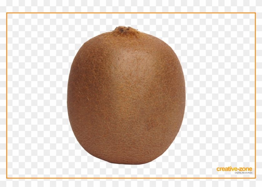 Kiwi, Kiwifruit Clipart #232139