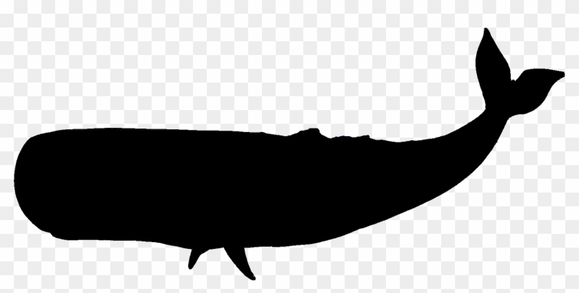 Squid Clipart Silhouette - Whale Silhouette No Background - Png Download