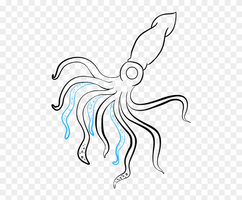 How To Draw A Really Easy Tutorial - Draw A Squid Clipart #232866
