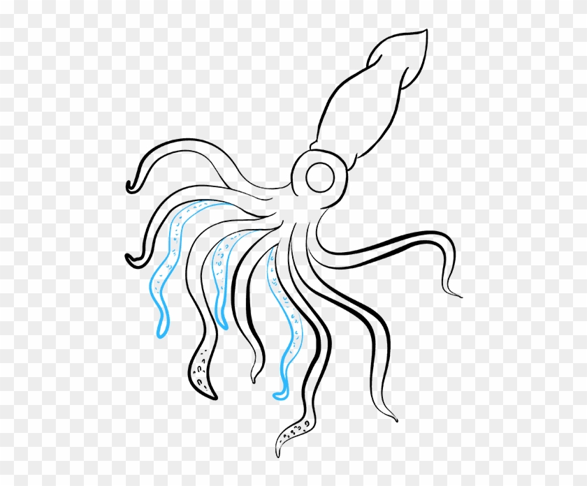 How To Draw A Really Easy Tutorial - Draw A Squid Clipart