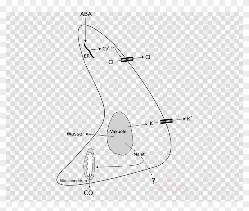 Boat Icon No Background Clipart Computer Icons , Png - Yin Yang Glitter Png Transparent Png #233299