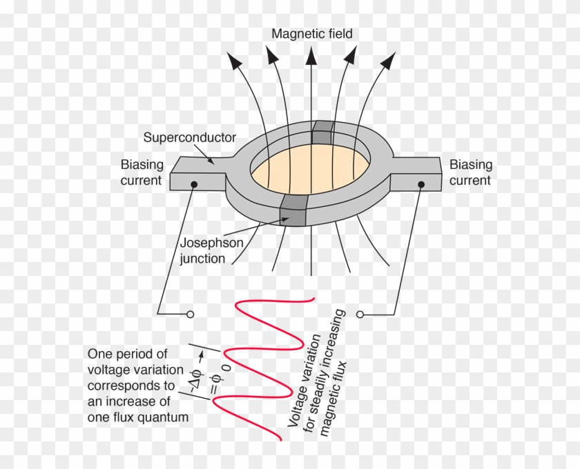 Discussion Of Squid Sensitivity - Squid Quantum Computing Clipart #233561