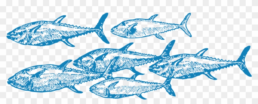 Increasing Barriers To Entry For Unsustainable Fish - 186 1861416_challenges For Overfishing Include Monitoring Clipart #234347