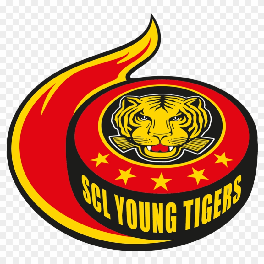 Tom E Curran Nflnew England Patriots Insider Nbc - Scl Young Tigers Logo Clipart #234514
