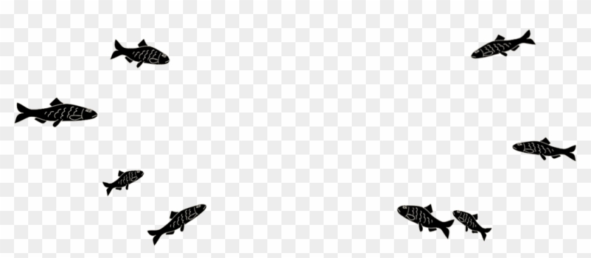 School Of Fish - School Of Fish Transparent Clipart #234846