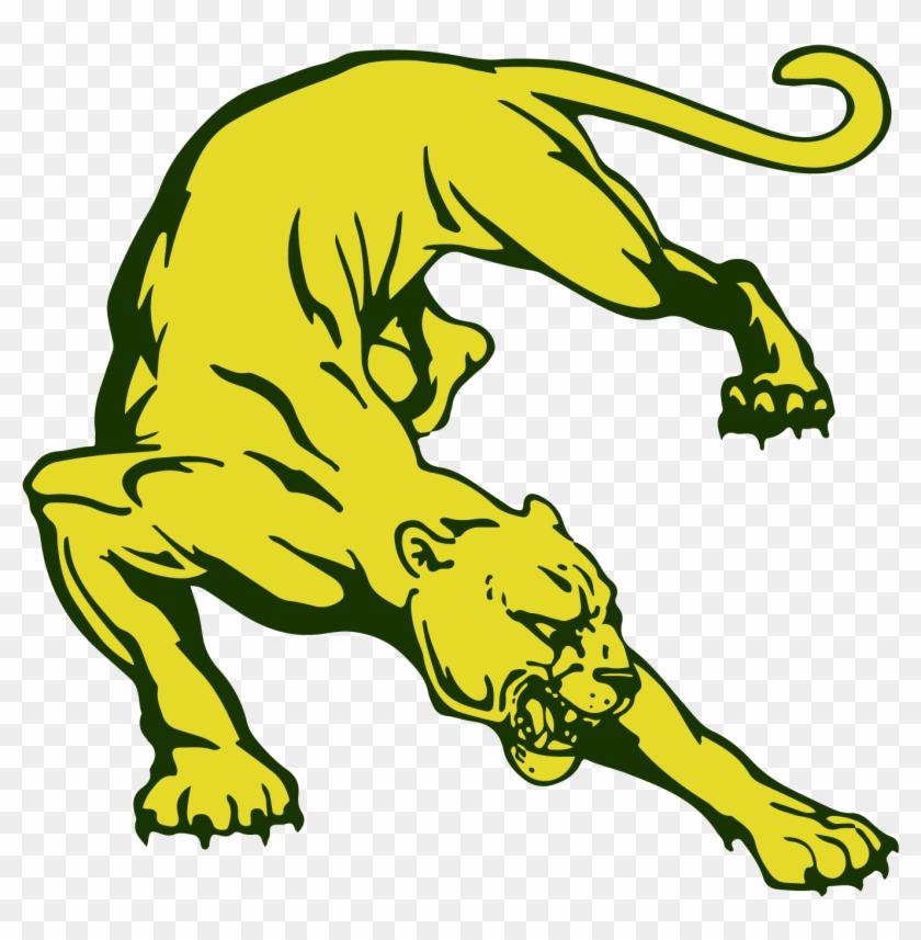 Drawing Of A Panther Clipart 235458 Pikpng