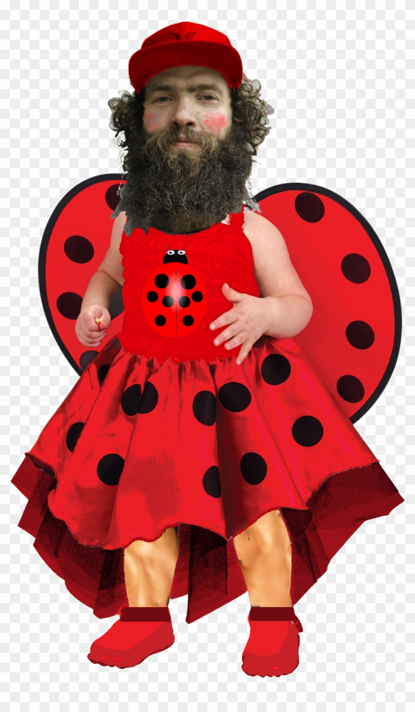 Ladybird Nazi - Ladybug Nazi Clipart #236049
