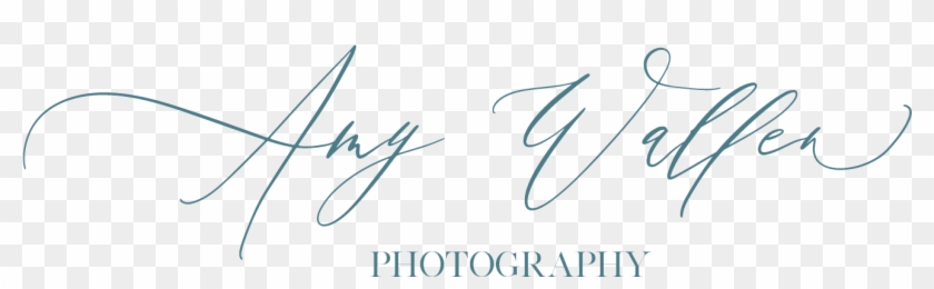 Amy Wallen Photography - Calligraphy Clipart #236699