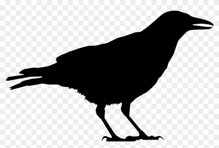 Free Png Download Black Crow Silhouette Png Images - All About Birds Clipart