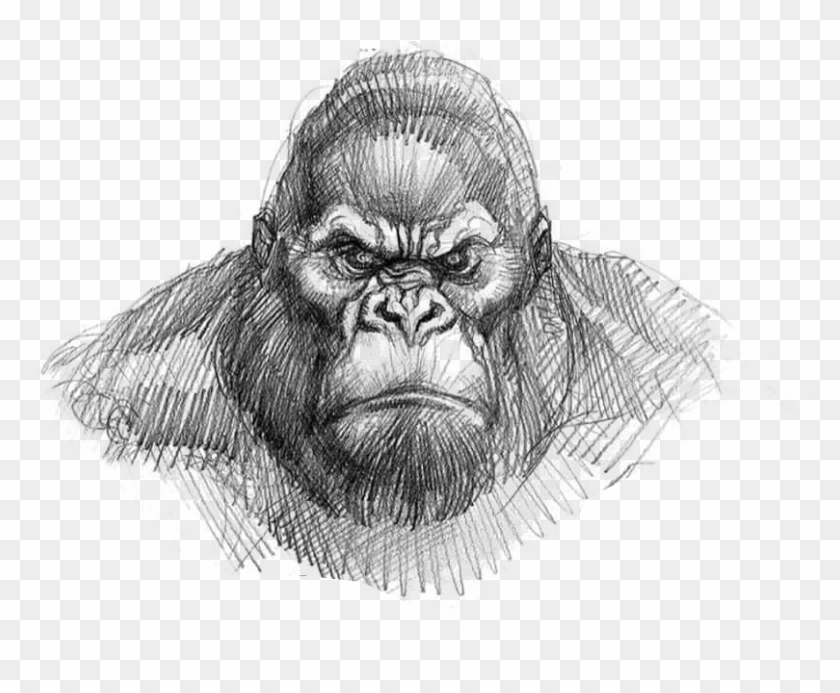 King Kong Drawing Easy , Png Download - King Kong Face Drawing Clipart #239419