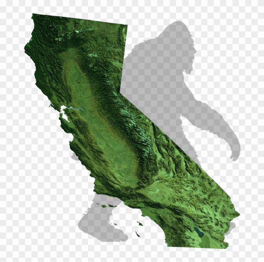 Texas Bigfoot Map - California Map Of State Clipart