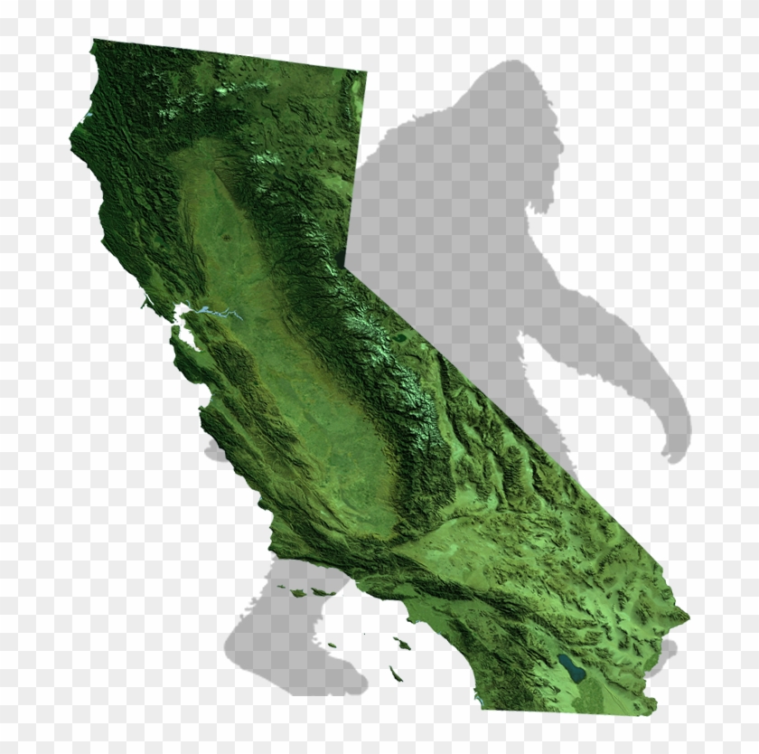 Texas Bigfoot Map - California Map Of State Clipart #239816