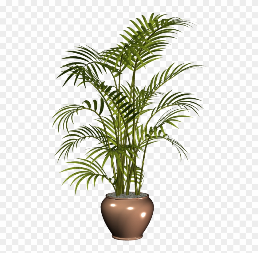 Plante En Pot Png Clipart #2300016