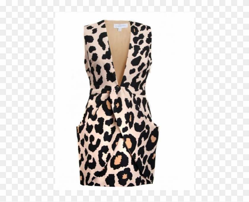 Alesha Dixon Dress Finders Keepers Paperships Dress - Animal Print Dress Png Clipart #2300168