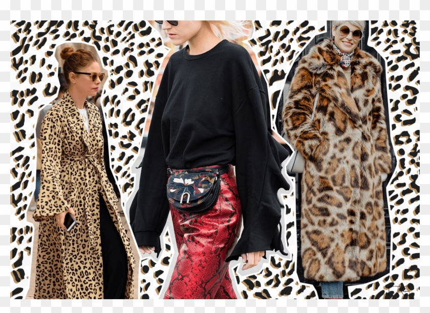 Street Style - Animal Pattern Clipart