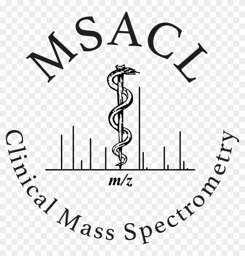 Png With Transparent Background - Calligraphy Clipart