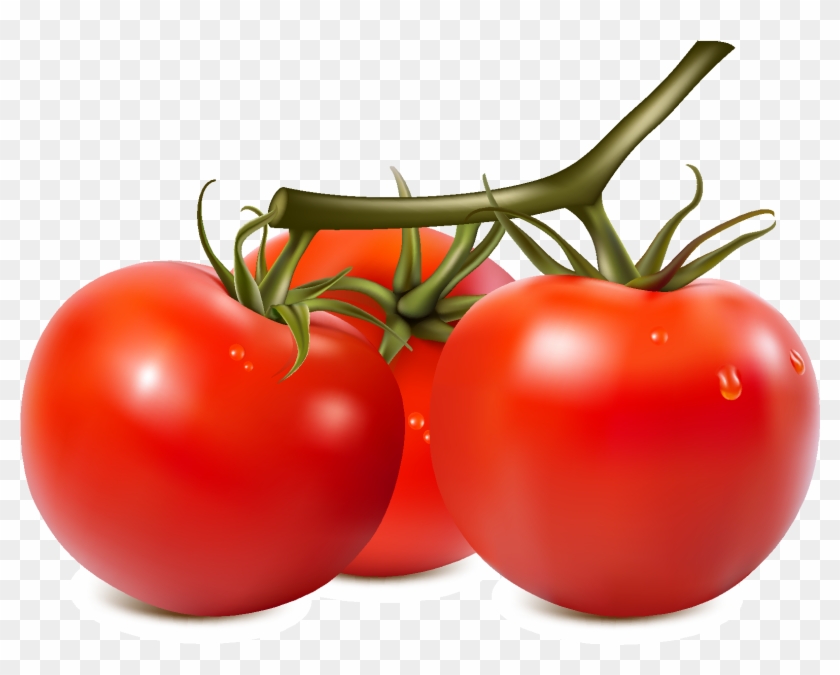 Fresh Organic Vegetable Tomato Vector - Fruits Used As Vegetable Clipart #2300976