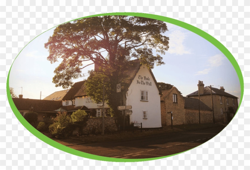 Tree Clipart #2301423