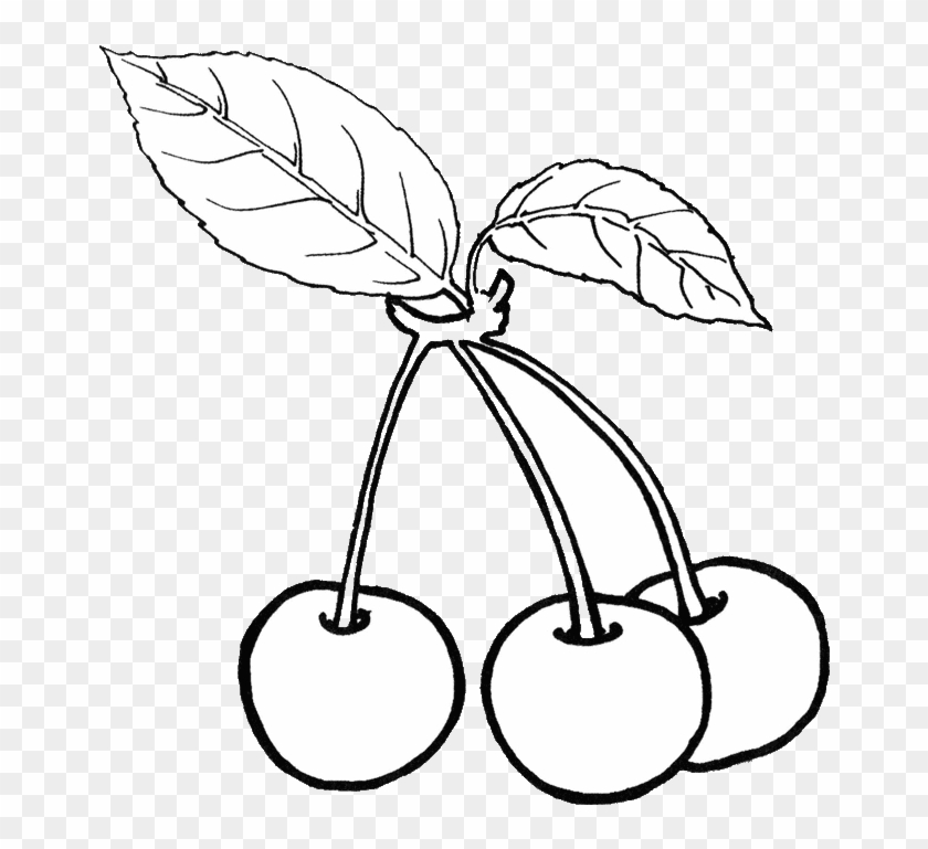 Graphic Transparent Stock Fruit And Vegetable Clipart - Fruits And Vegetables Drawing Black And White - Png Download