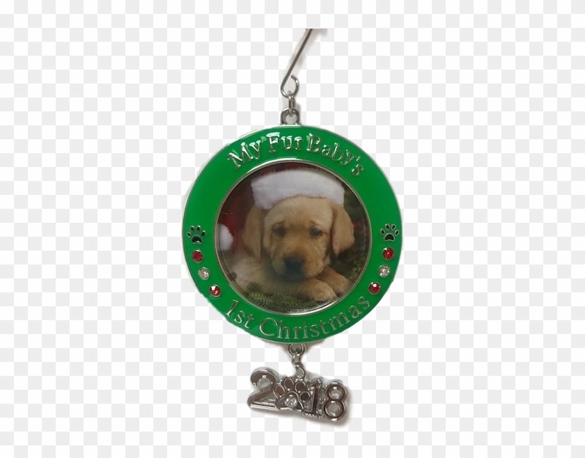 Pet's First Christmas - Dachshund Clipart