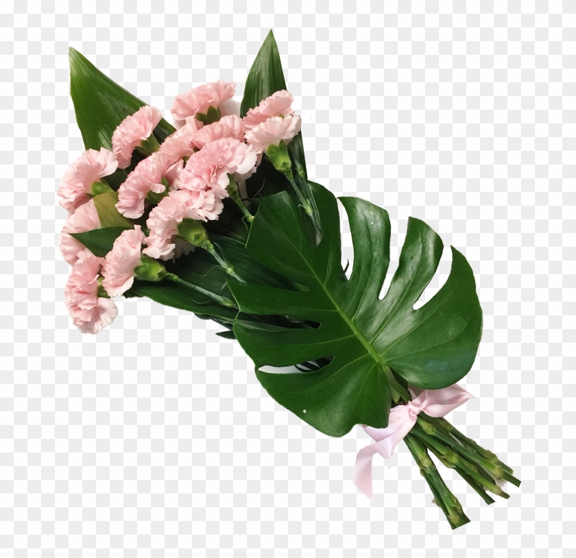 Carnation , Png Download - Bouquet Clipart #2305096