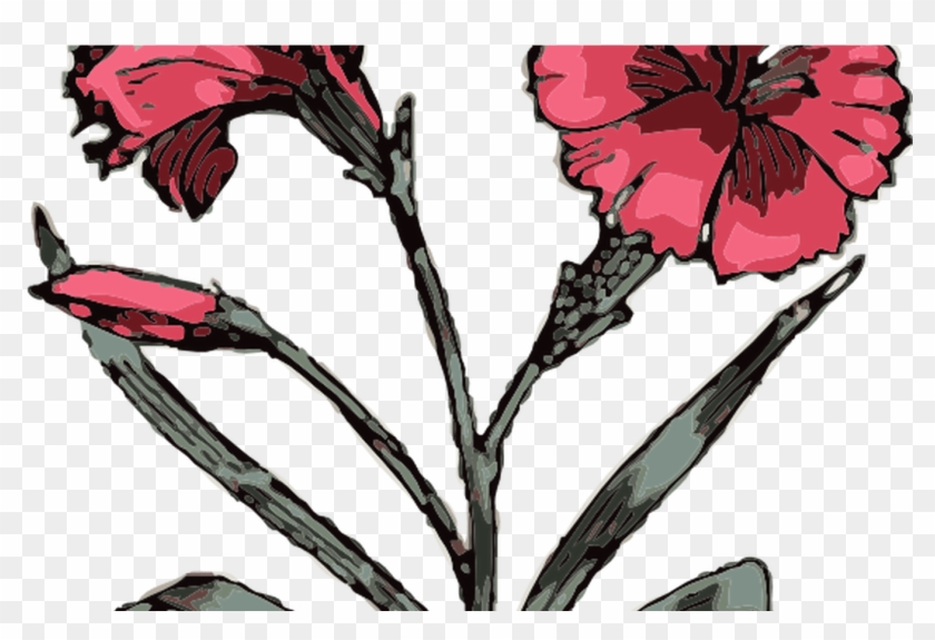 Carnation Clip Art At Clkercom Vector Clip Art Online, - Png Download