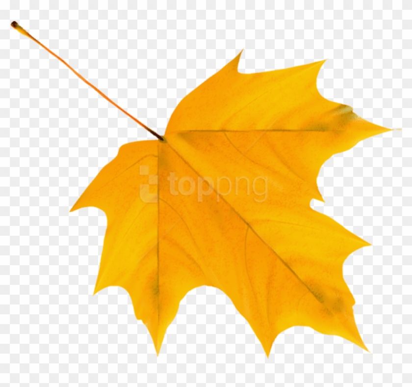 Free Png Download Yellow Autumn Leaf Clipart Png Photo - Autumn Leaves Clipart Png Transparent Png