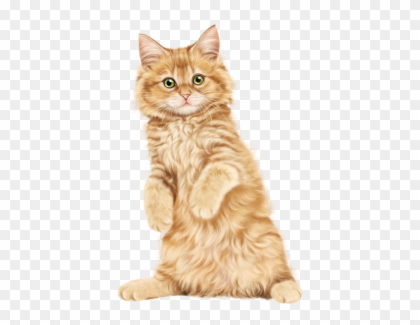 Kittens Clipart Transparent Background - Png Download #2305798