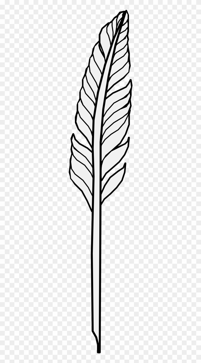 Details, Png Clipart #2305992