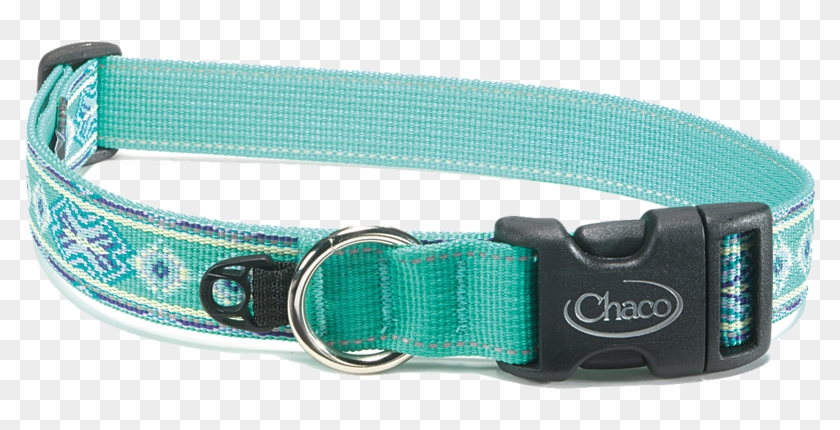 Chaco Dog Collar - Chaco Blue Dog Collar Clipart