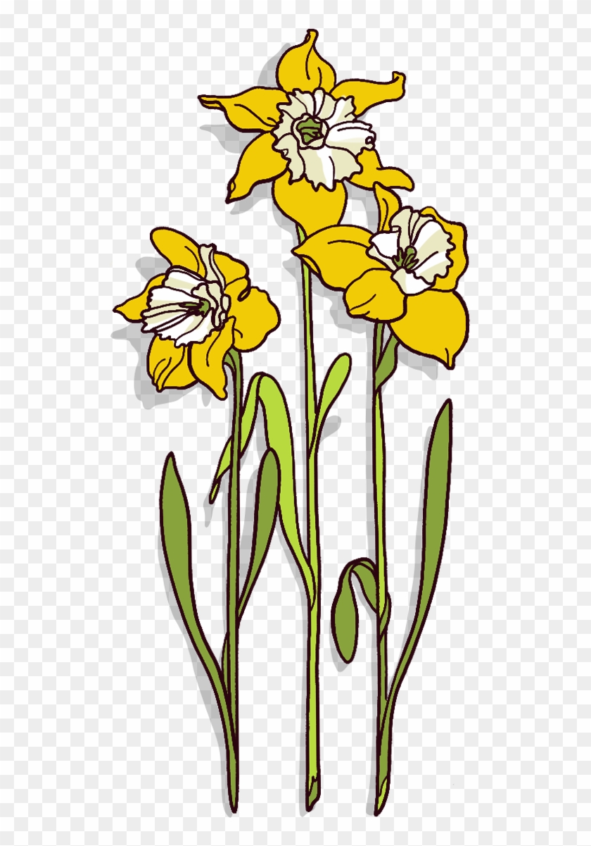 Wales Clipart Daffodil - Iris - Png Download