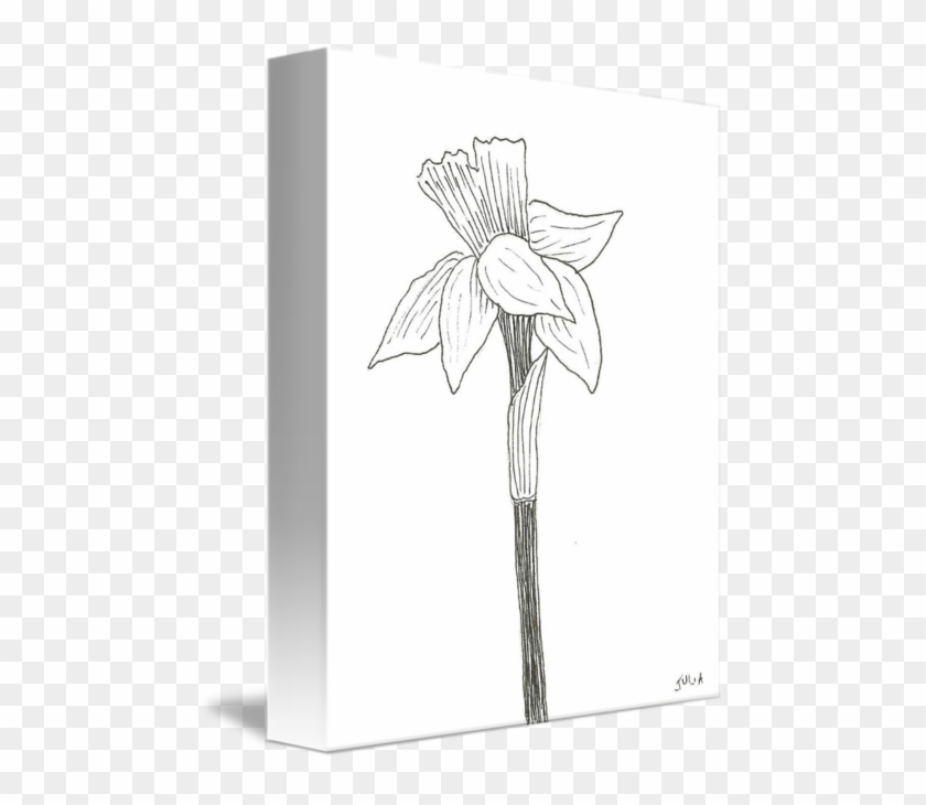 477 X 650 3 - Sketch Clipart #2306482