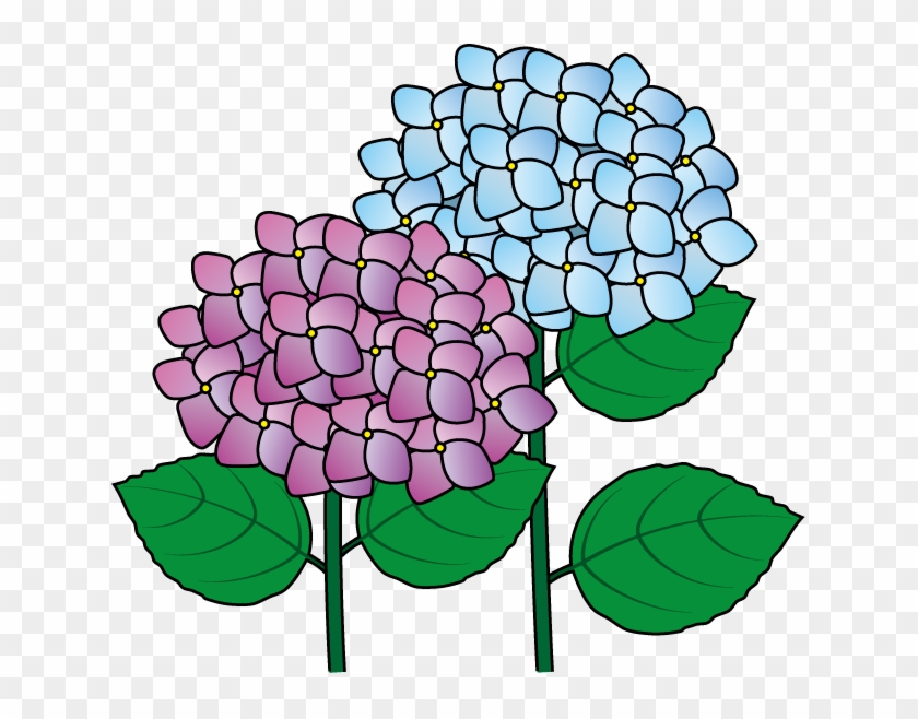 Hydrangea Clipart - Clipart Best - Hydrangea Clipart - Png Download