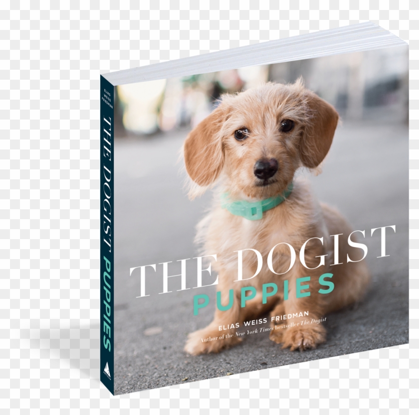 View Full Size Image Clipart #2308125