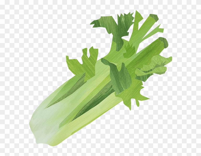 Celery Png - Chicory Clipart #2308701
