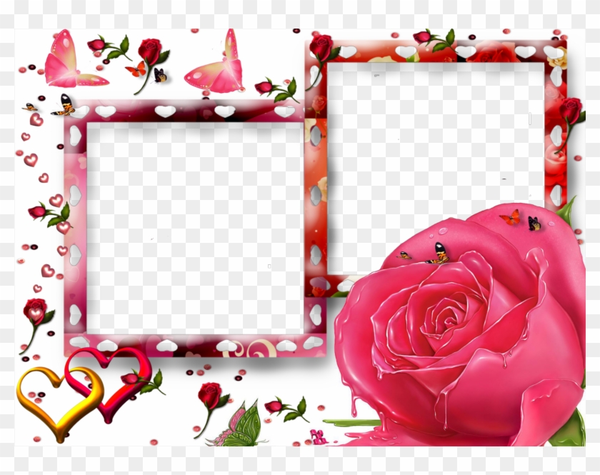 Marco Png Para Photoscape - Marco Para Fotos De Rosa Clipart