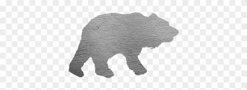 Tiny Bear Package - American Black Bear Clipart