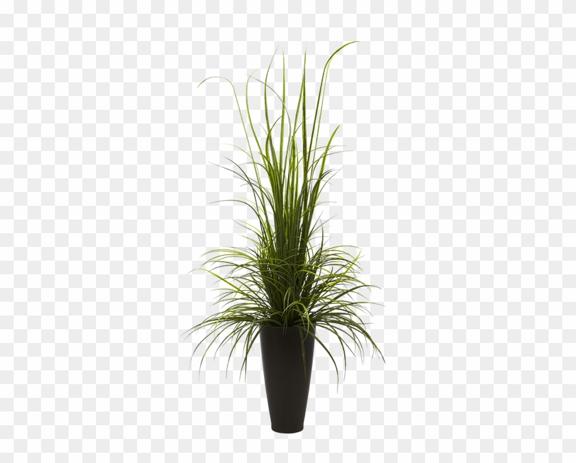 Floor Vase Png - Plant In Vase Transparent Clipart
