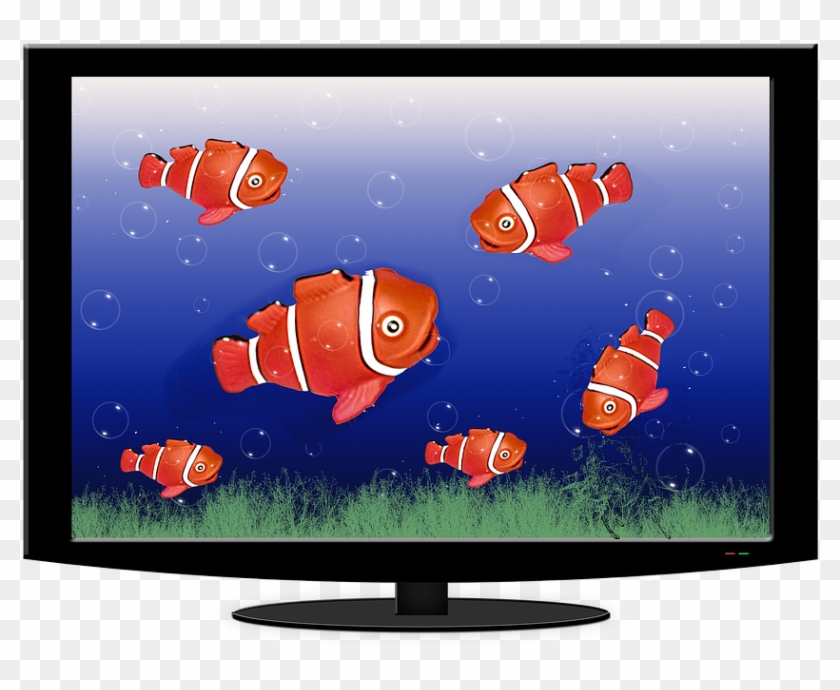 Aquarium, Tv, Fish, Water, Fish Swarm, Underwater World - Tv Fish Clipart